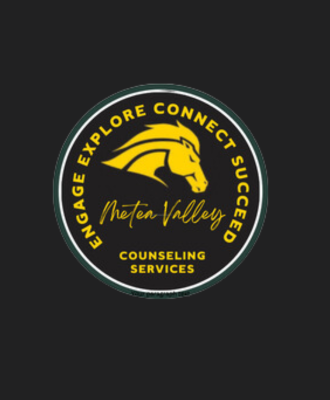  MV Counseling Services