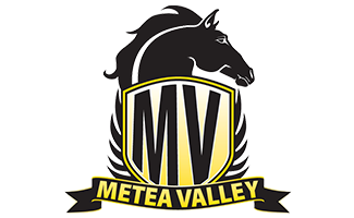 Metea Valley High School Logo