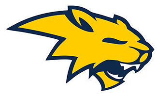 Neuqua Valley High School Logo