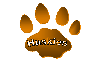 Spring Brook Elementary School Logo